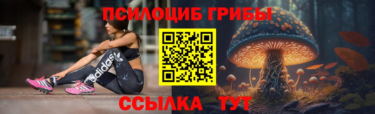 Псилоцибиновые грибы Psilocybine cubensis Славгород